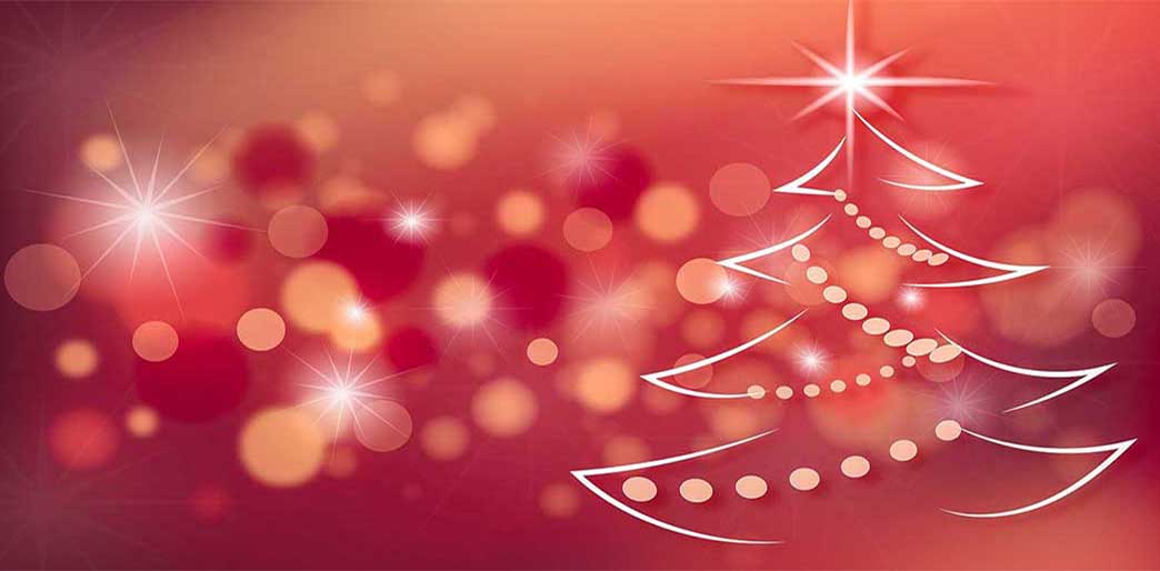 Merry Christmas from Excalibur Dehydrators Australia™