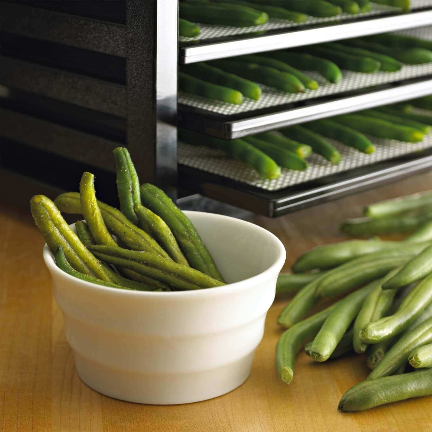 Bowl of beans placed in front of an Excalibur 4500B dehydrator.