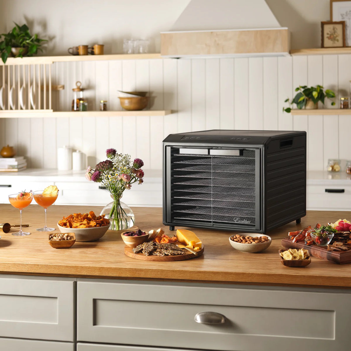 Excalibur DH10SC dehydrator on a bench with clear doors closed.