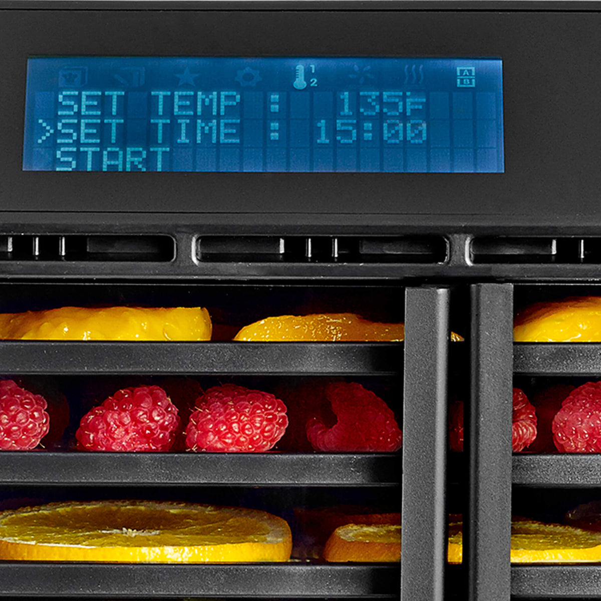 Excalibur RES10 10 tray compact digital dehydrator display panel.