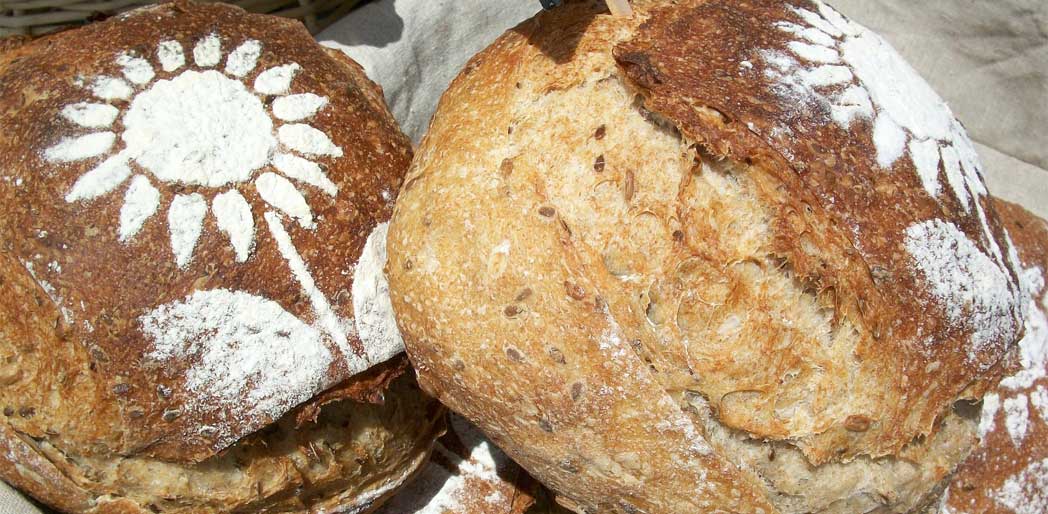 Artisan bread loaves. The perfect environment for raising bread exists right inside your Excalibur dehydrator.