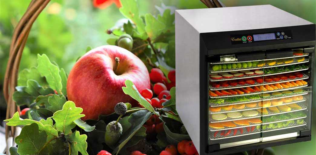 Excalibur models are now available and in stock.