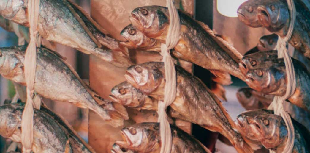 Asian style Fish Jerky