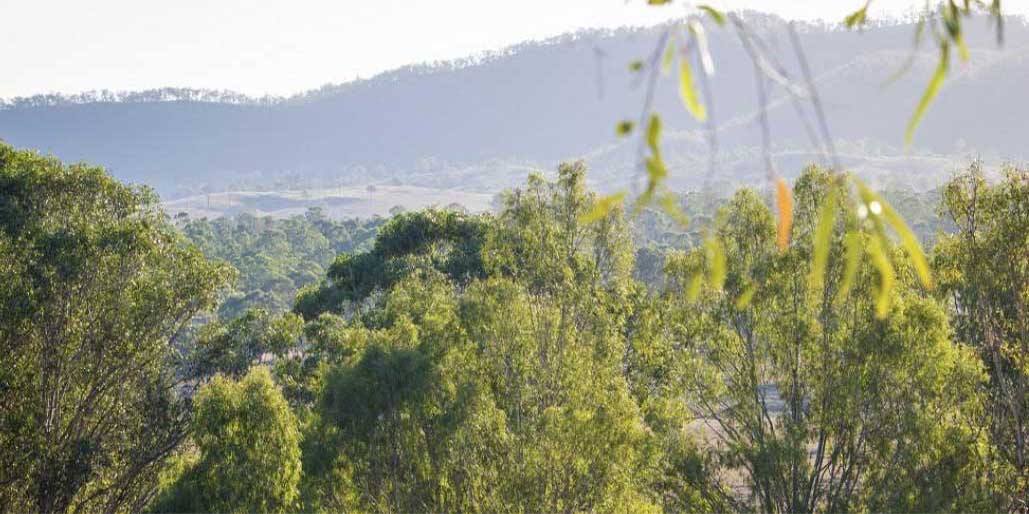 Nature's Wonderland and Excalibur Dehydrators Australia rural property in Toogoolawah S E Qld.