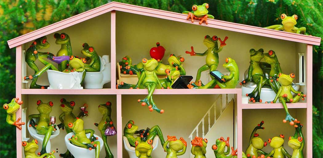 Sharing is Caring. We love to share all the great tips and special ways in which our Community members have tackled their food preservation.