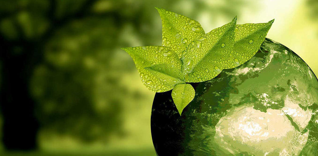 Bringing you our Friday Folder - let's look at The Tao Of Prepping