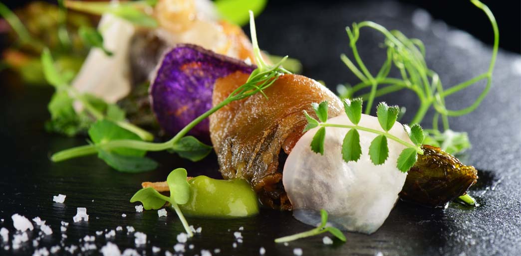 Drying food is just the beginning... Be Creative! Be Adventurous!