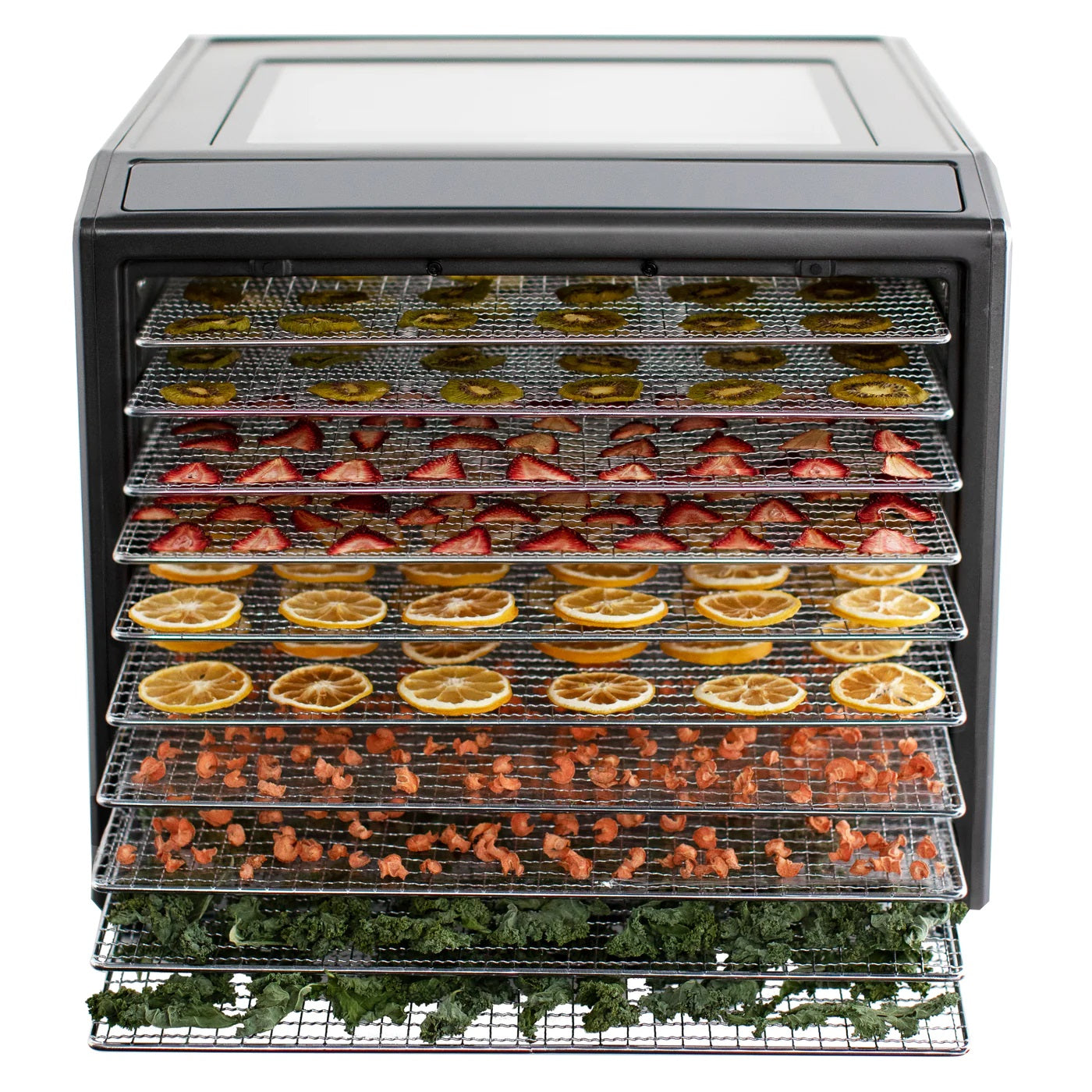 Excalibur DH10SS Performance Digital Stainless Steel 10 Tray Food excalibur-dh10ss-performance-digital-stainless-steel-10-tray-food