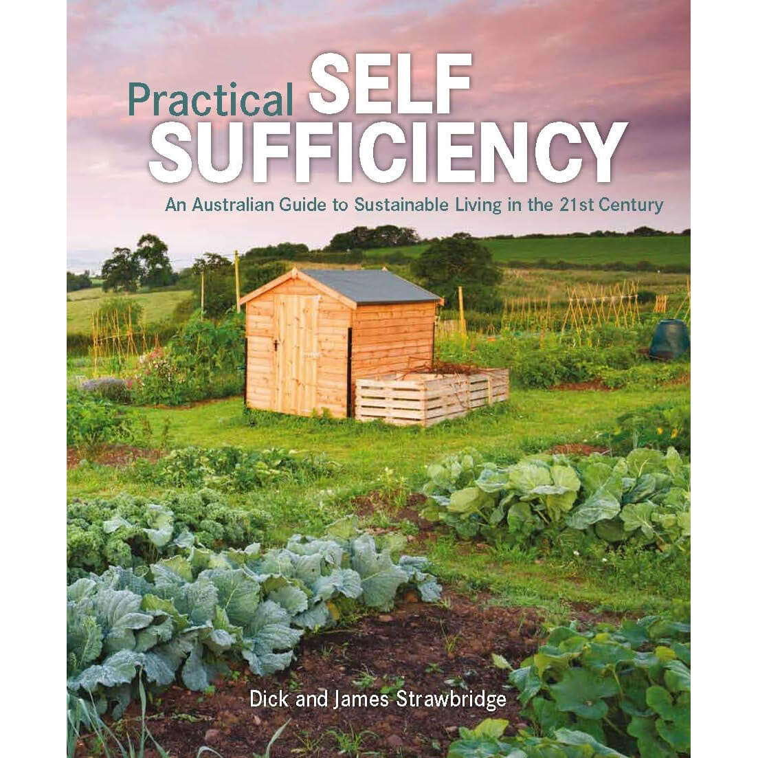 Practical Self Sufficiency: An Australian Guide to Sustainable Living in the 21st Century front cover.